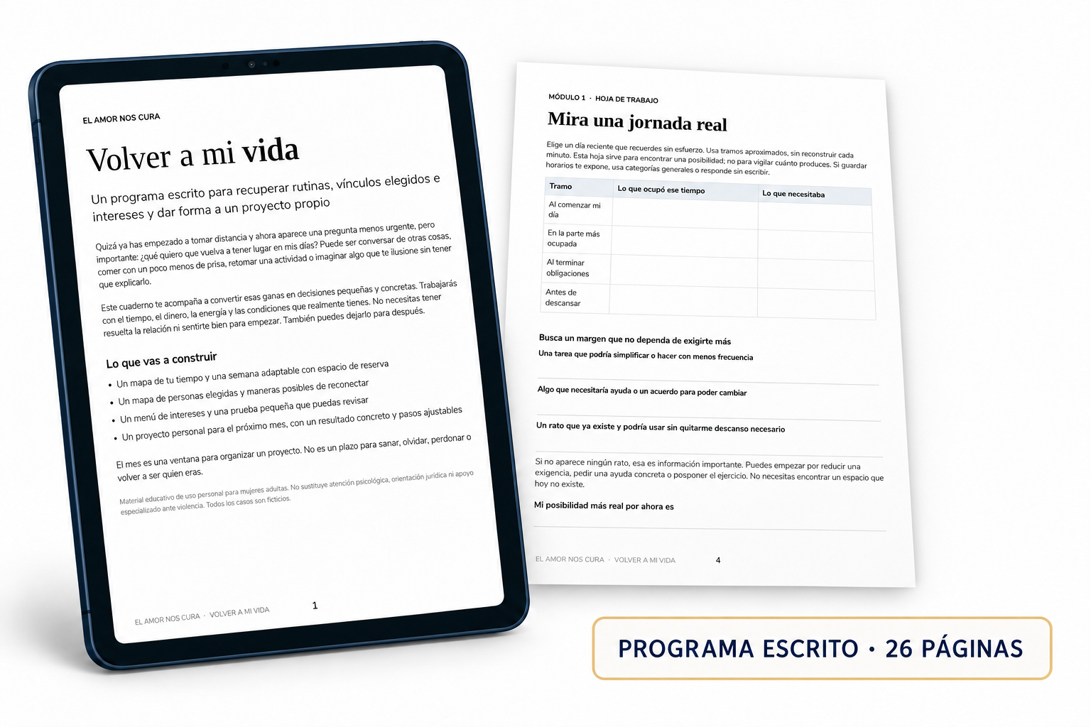 Volver a mi vida, programa escrito de 26 páginas en PDF y Word
